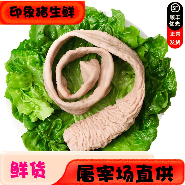 顺丰包邮新鲜预煮包赔冷链大肠头精品肠头冰鲜发货