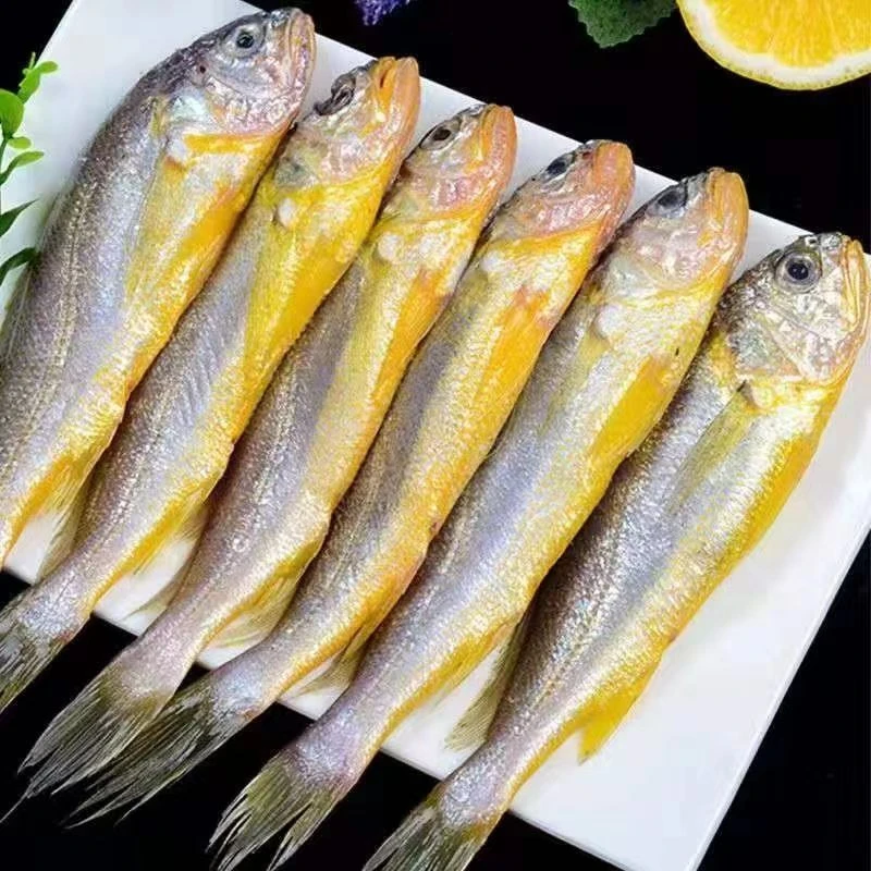 CF 4斤24-28条野生海捕 黄花鱼 一斤6-7条 带冰衣实发5斤 净4斤