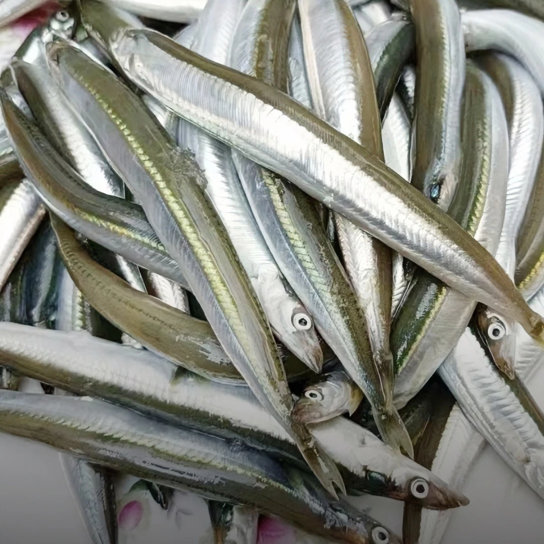 5斤净含量面条鱼玉筋鱼好吃油炸饵煎炸饵补钙油煎冷冻加工肉厚