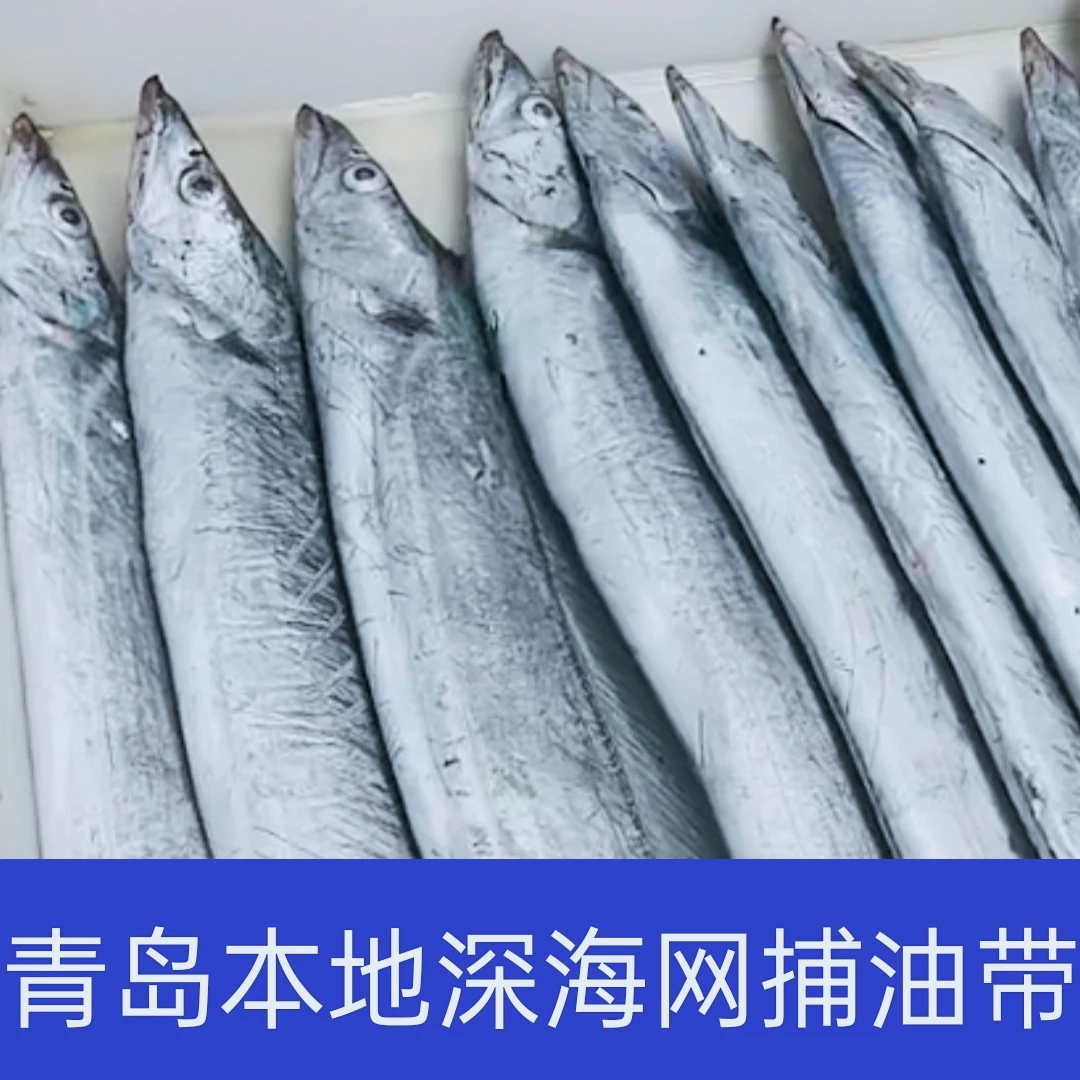 青岛油带特大带鱼一斤以上5斤到手5/9条鱼大号品质带鱼