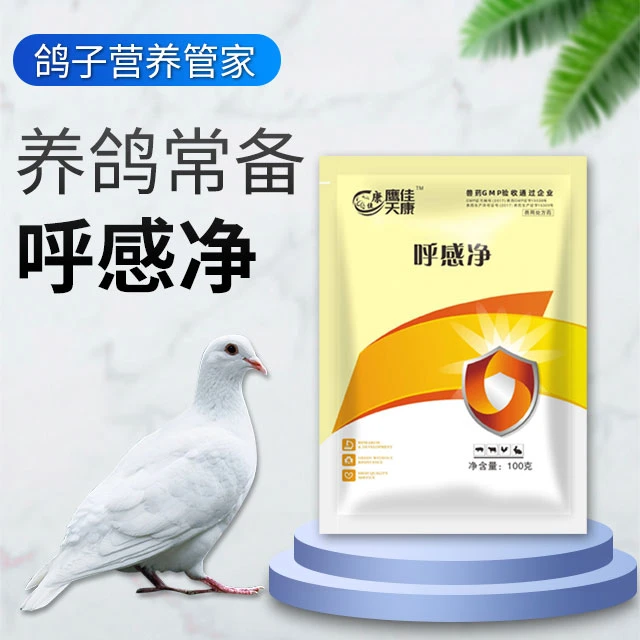 呼感净产品新城依呼吸道冬季专用佳品