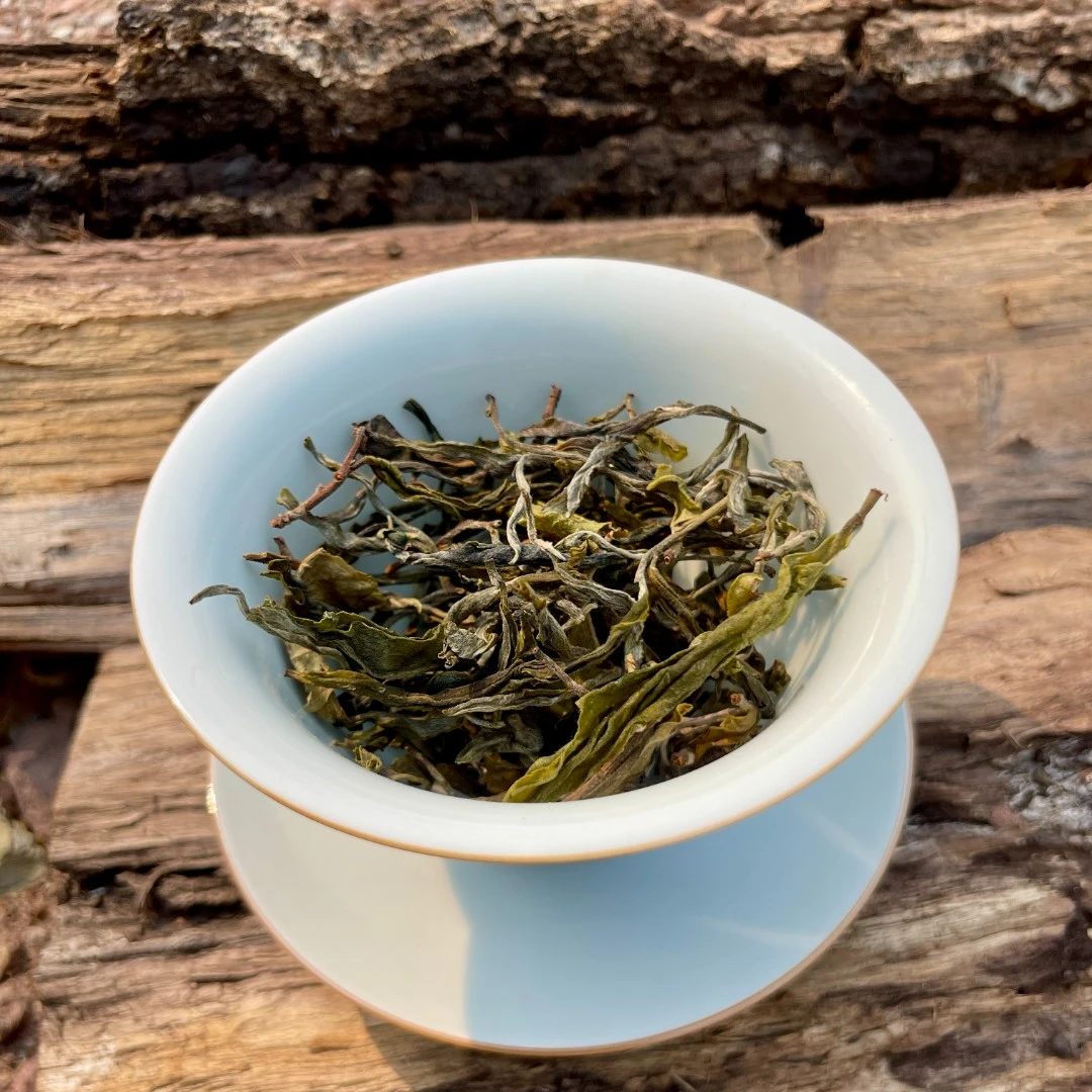 【 夏头采 麻栗树古树】2024年 倚邦精选地块   普洱 生茶  散茶50g