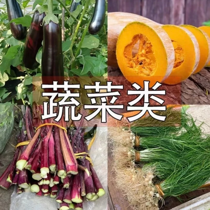【1号梅子土特产】湖南湘西现场挑选农家新鲜蔬菜1/5斤