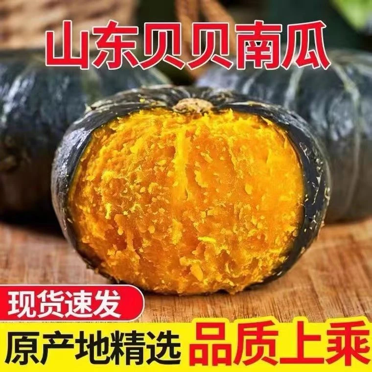 正宗贝贝南瓜粉糯香甜板栗真贝贝南瓜新鲜现摘孕妇宝宝辅食包邮