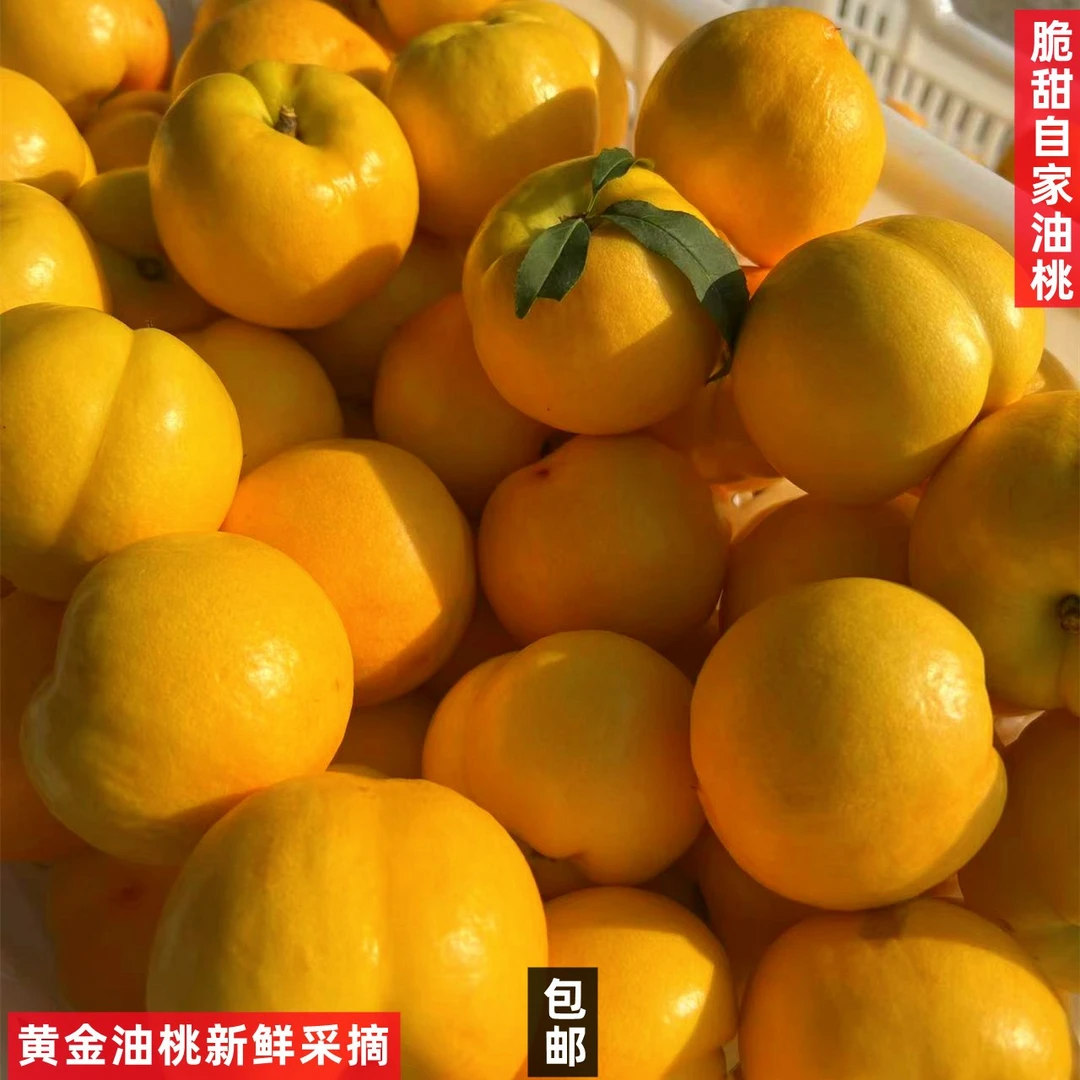 山东蒙阴黄油桃当天新鲜采摘蜜桃酸甜桃子3-4.5斤精品