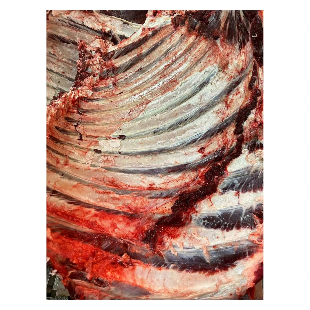 新鲜水牛肉牛排骨 牛小排 煲汤 红烧  7斤