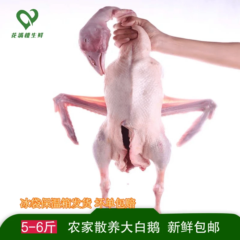 5-6斤农家散养大白鹅生鲜鹅肉鹅肉白条鹅肉冷冻包邮冷链冷链发货
