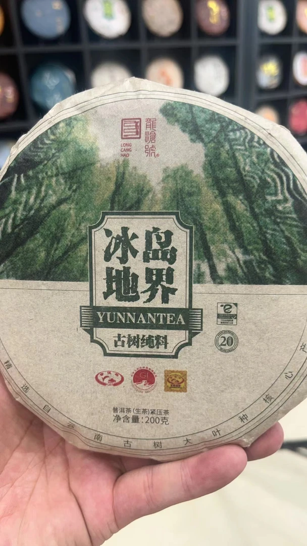 龙沧号2023年冰岛地界古树纯料生茶200克