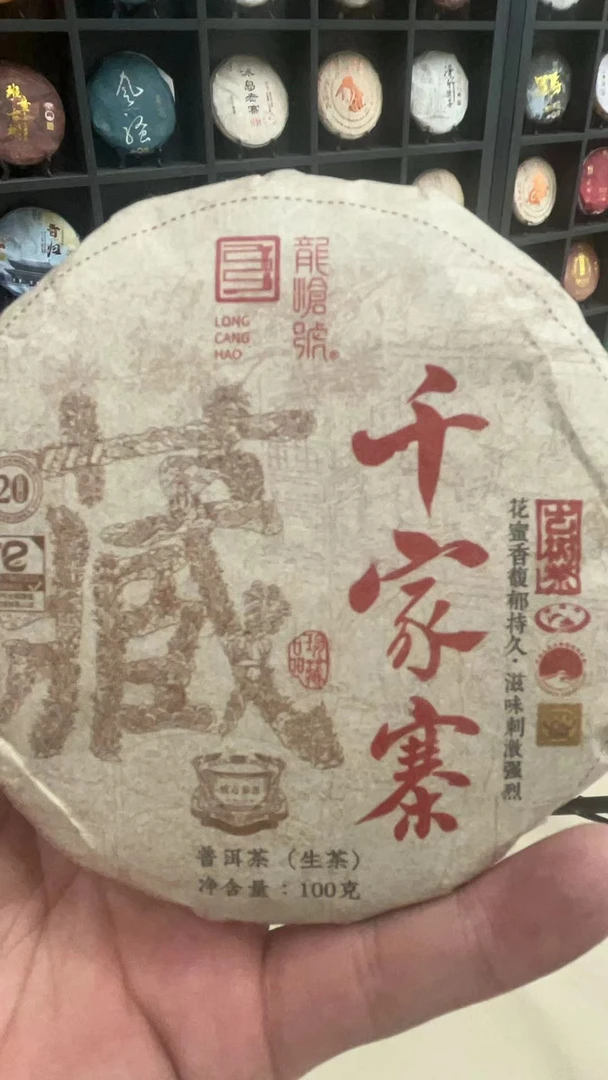 龙沧号2023年千家寨古树纯料生茶100克