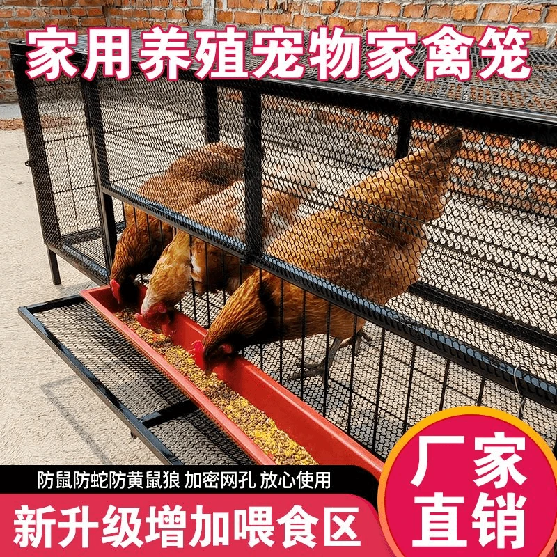 笼外吃食鸡鸭鹅鸽子鹌鹑家禽猫狗兔宠物防黄鼠狼防蛇养殖折叠笼子