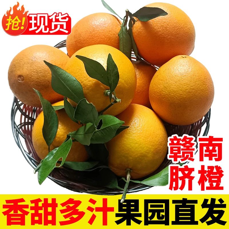 江西赣南脐橙新鲜应季水果10斤橙子正宗赣州果冻手剥冰糖甜橙包邮