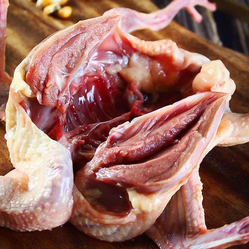 6只农家放养土鸽宰杀整只新鲜鸽子肉冷链发货