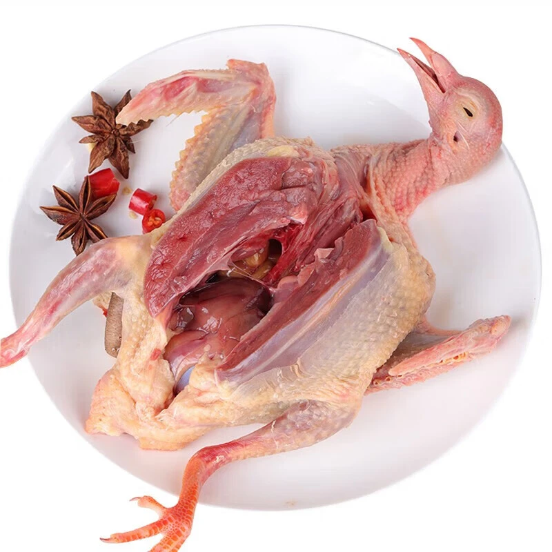 【送一根人参】农家放养土鸽新鲜现杀乳鸽鸽子肉