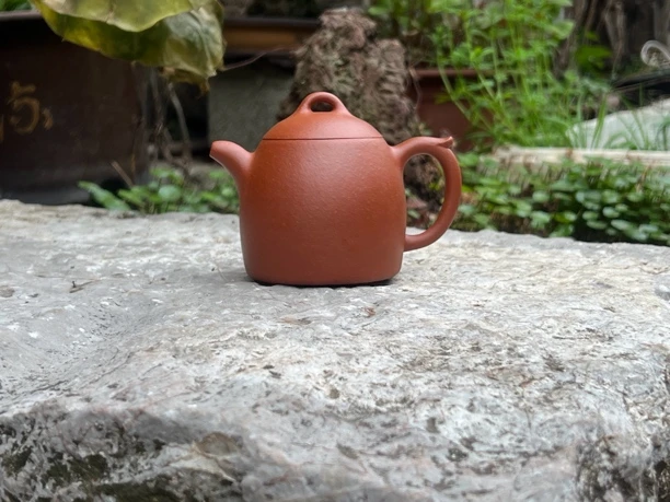 秦权壶30目生砂朱泥全手工壶