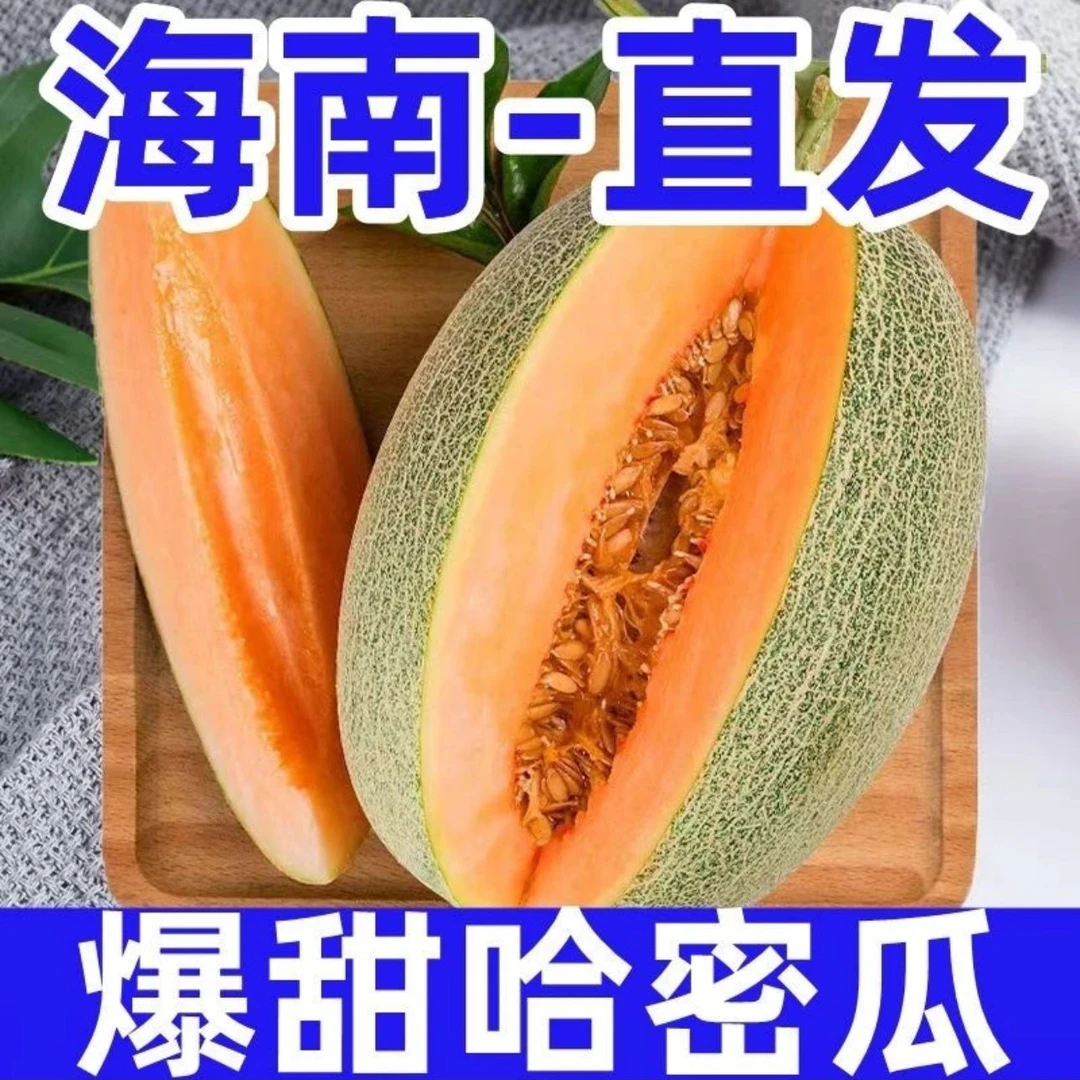 XY海南哈密瓜小蜜25号西州蜜瓜脆甜爽口多汁带箱9-10斤到手3-5个