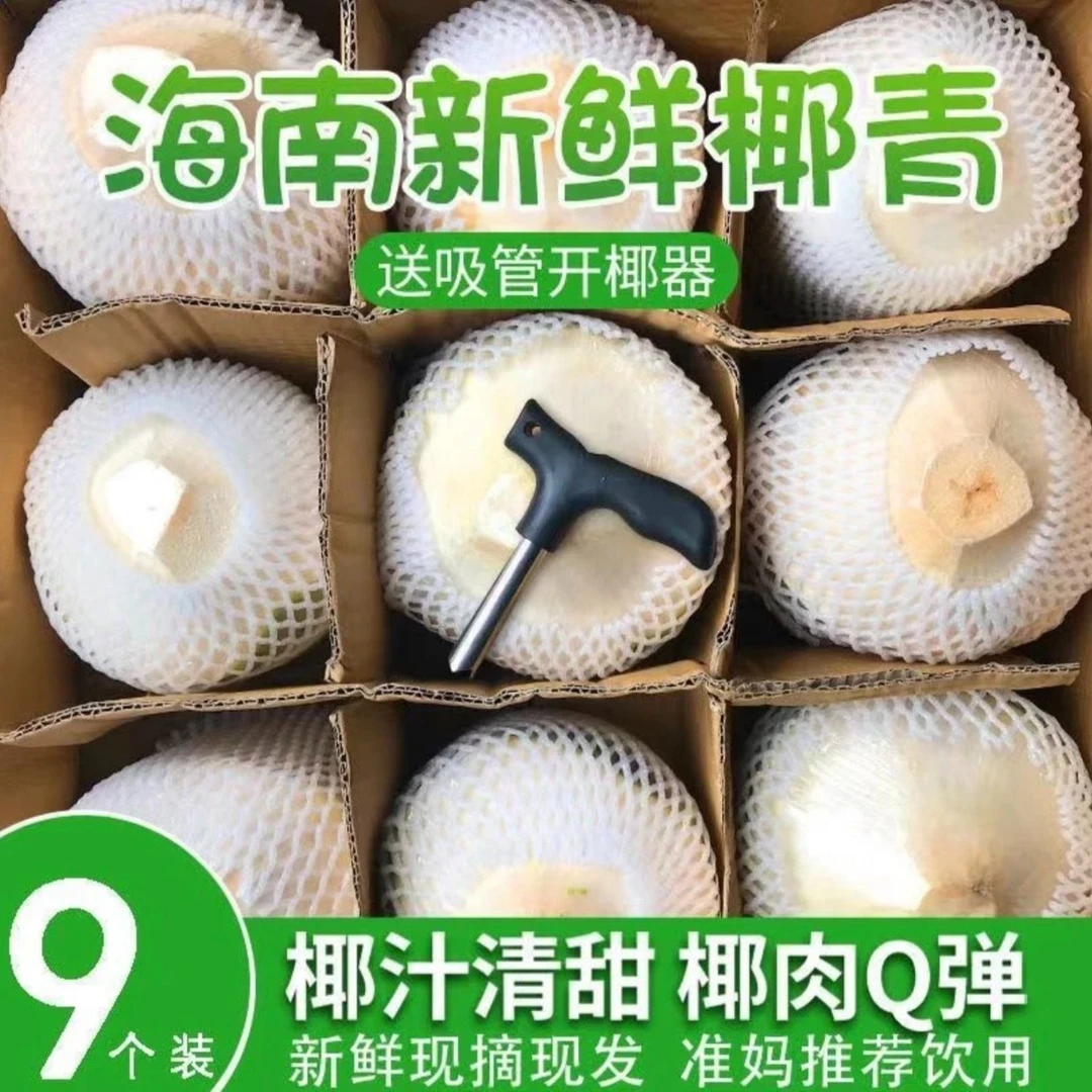 正宗海南文昌椰青新鲜椰子孕妇水果天然香椰子水海南椰子去皮椰青