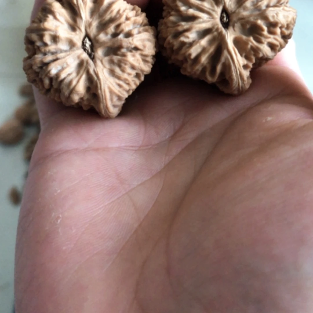 【闪购商品】木核雕鑫****鸿