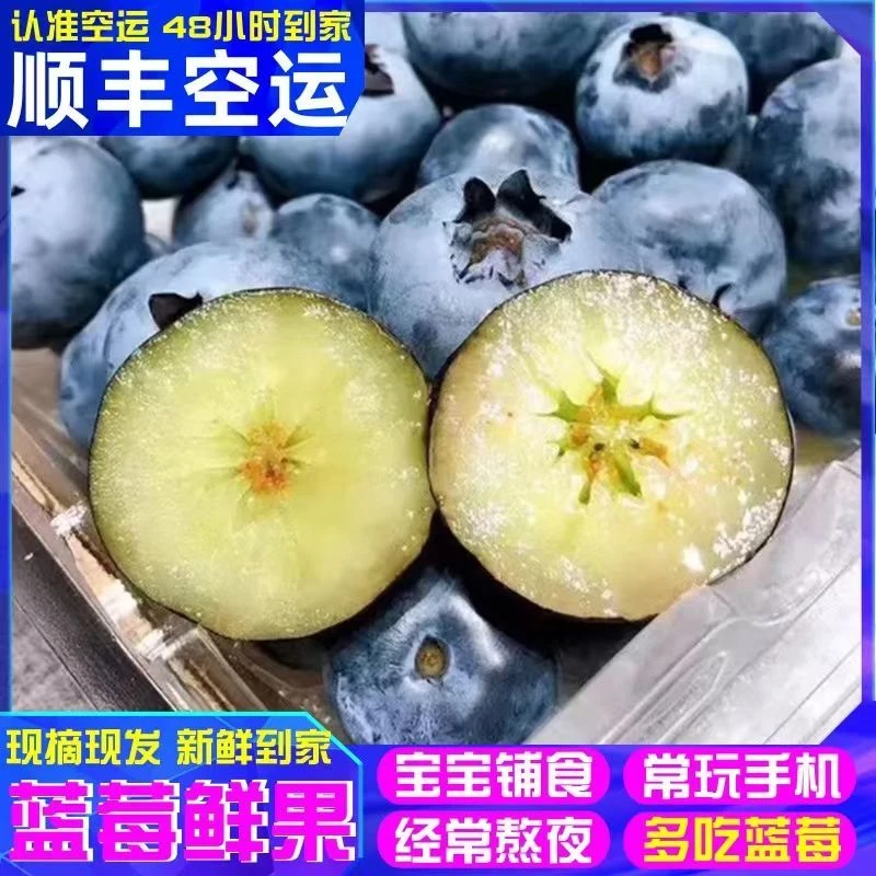 新鲜云南蓝莓鲜果蓝梅稀有新鲜甜浆脆净含量125g细腻香甜细嫩爆汁