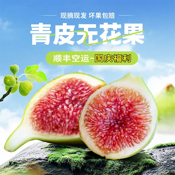 【顺丰空运包邮Y】1-5斤应季现摘青皮无花果新鲜软糯香甜无花果鲜果