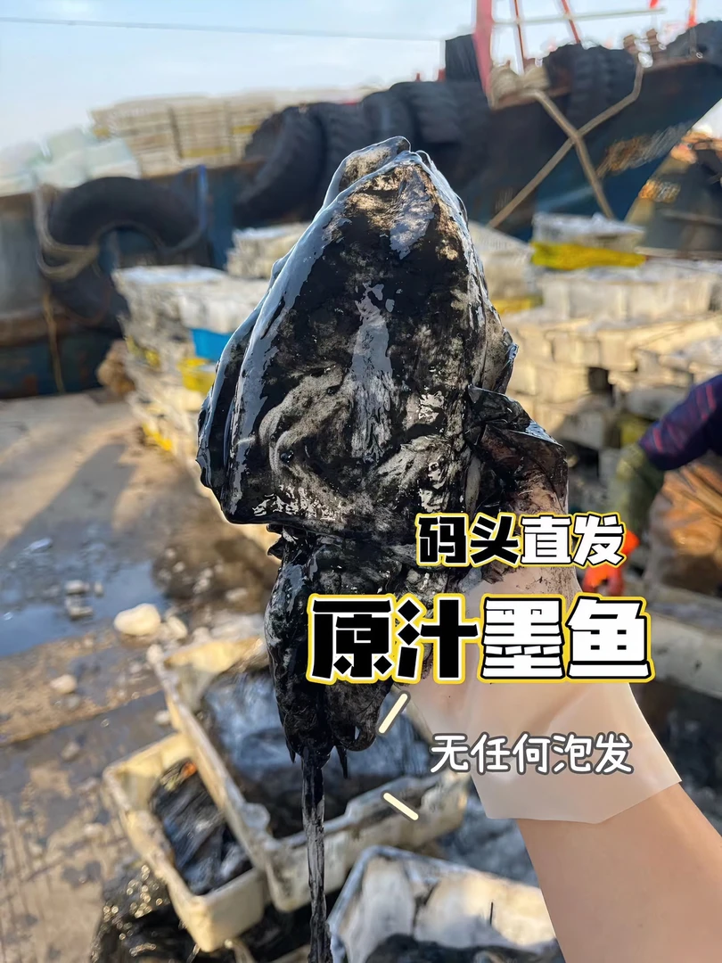 江苏吕四渔港 墨鱼 净重3-10斤装新鲜速冻
