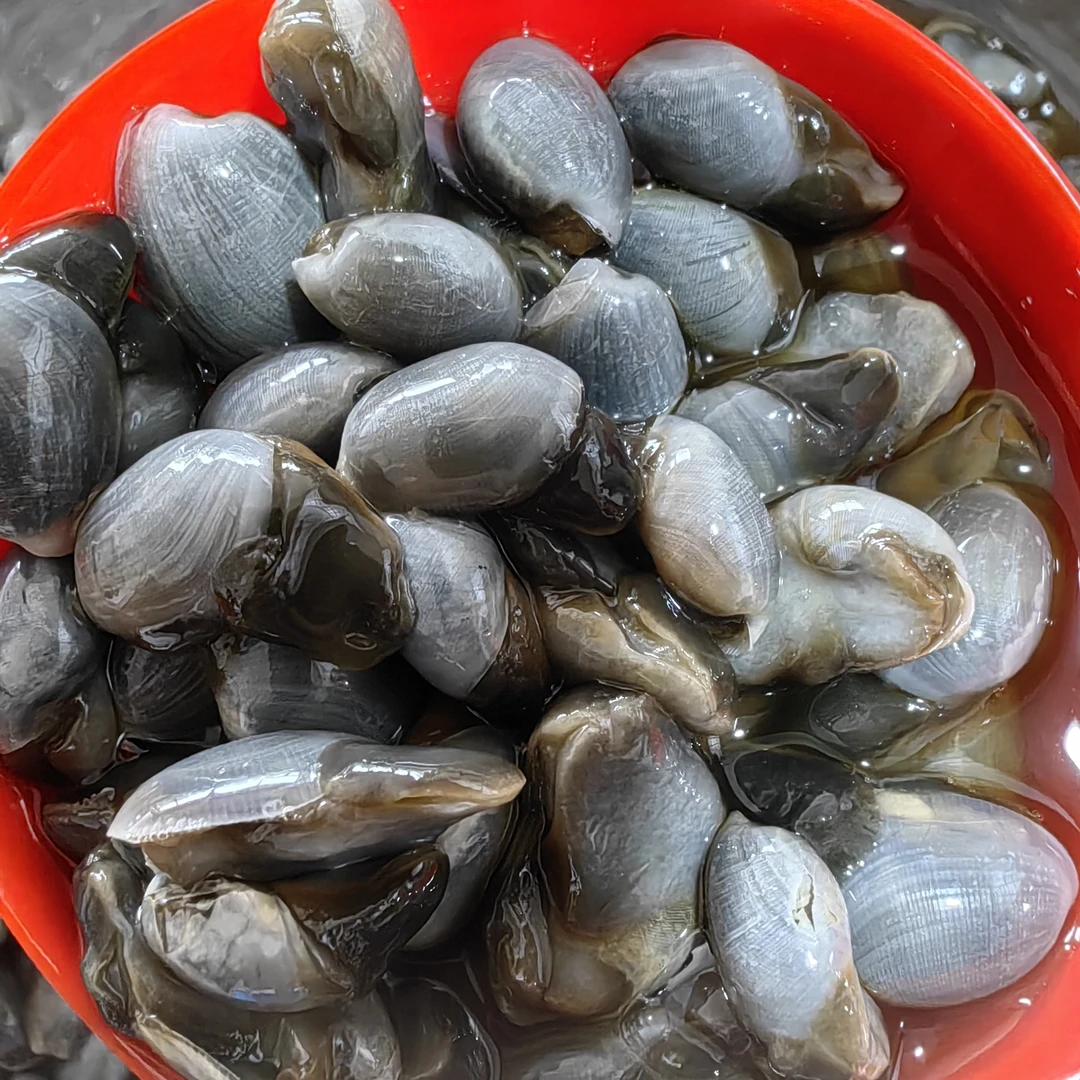 大连海鲜 醉泥螺 原味 （两罐500克） 庄河发货 包邮