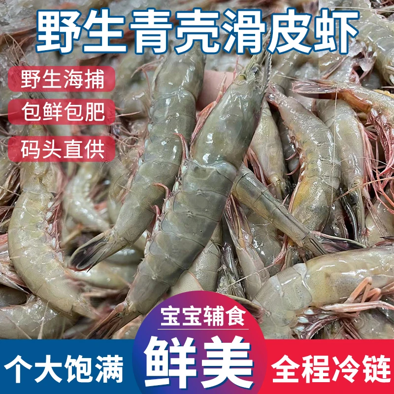【舟山野生大号青壳滑皮虾】新鲜条虾1斤40只左右鹰爪虾-250g/盒