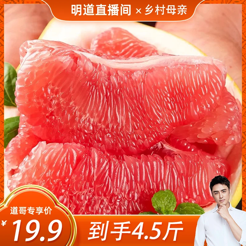 福建平和琯溪红心蜜柚4.5-5斤 新鲜水润饱满多汁