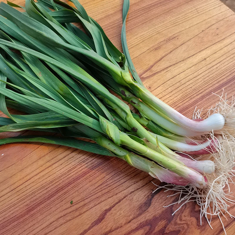 蒜苗 香蒜苗约300g/份