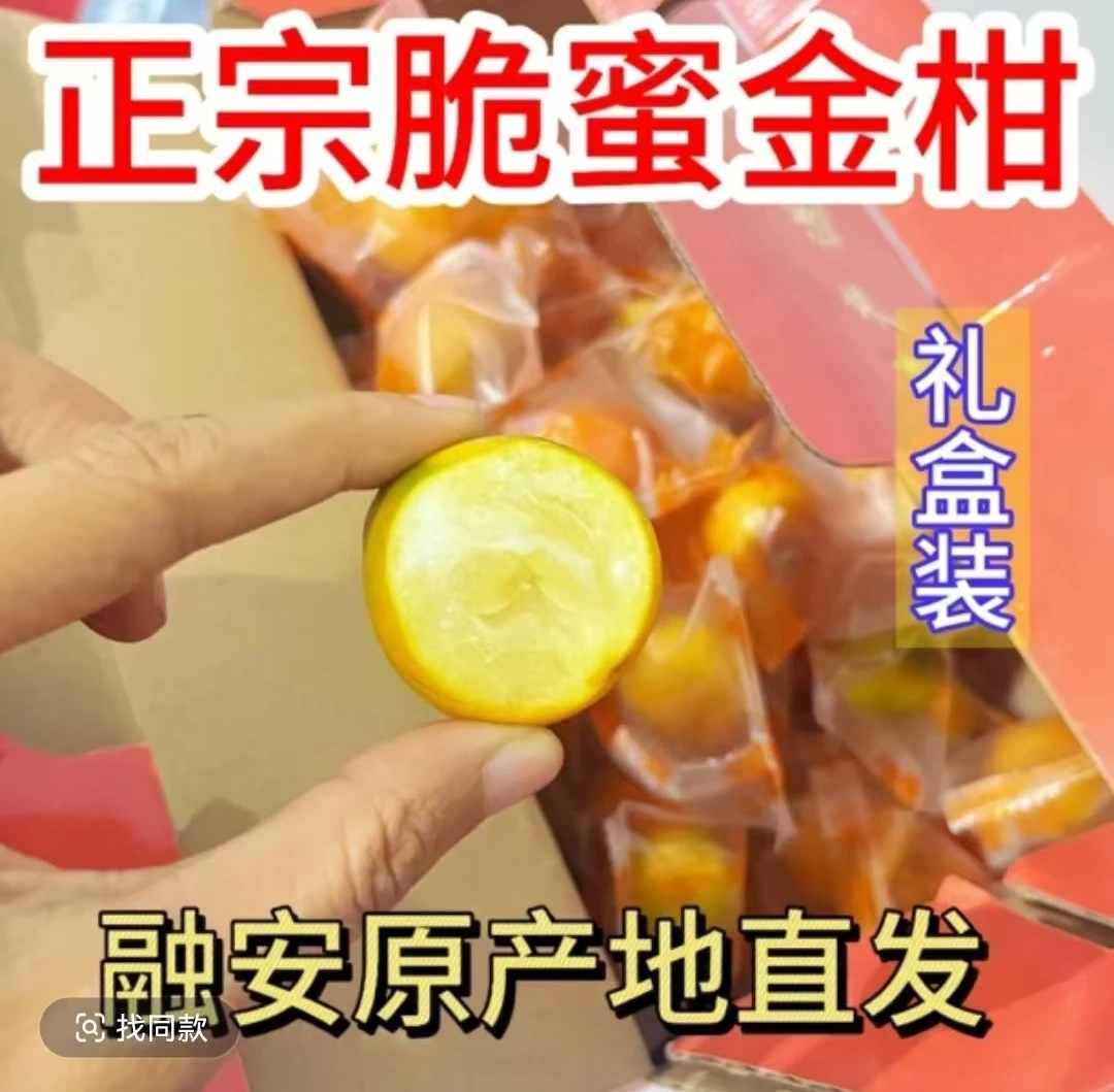 新店优惠活动3斤礼盒装正宗融安三代脆蜜金柑A级果（乒乓球大小）