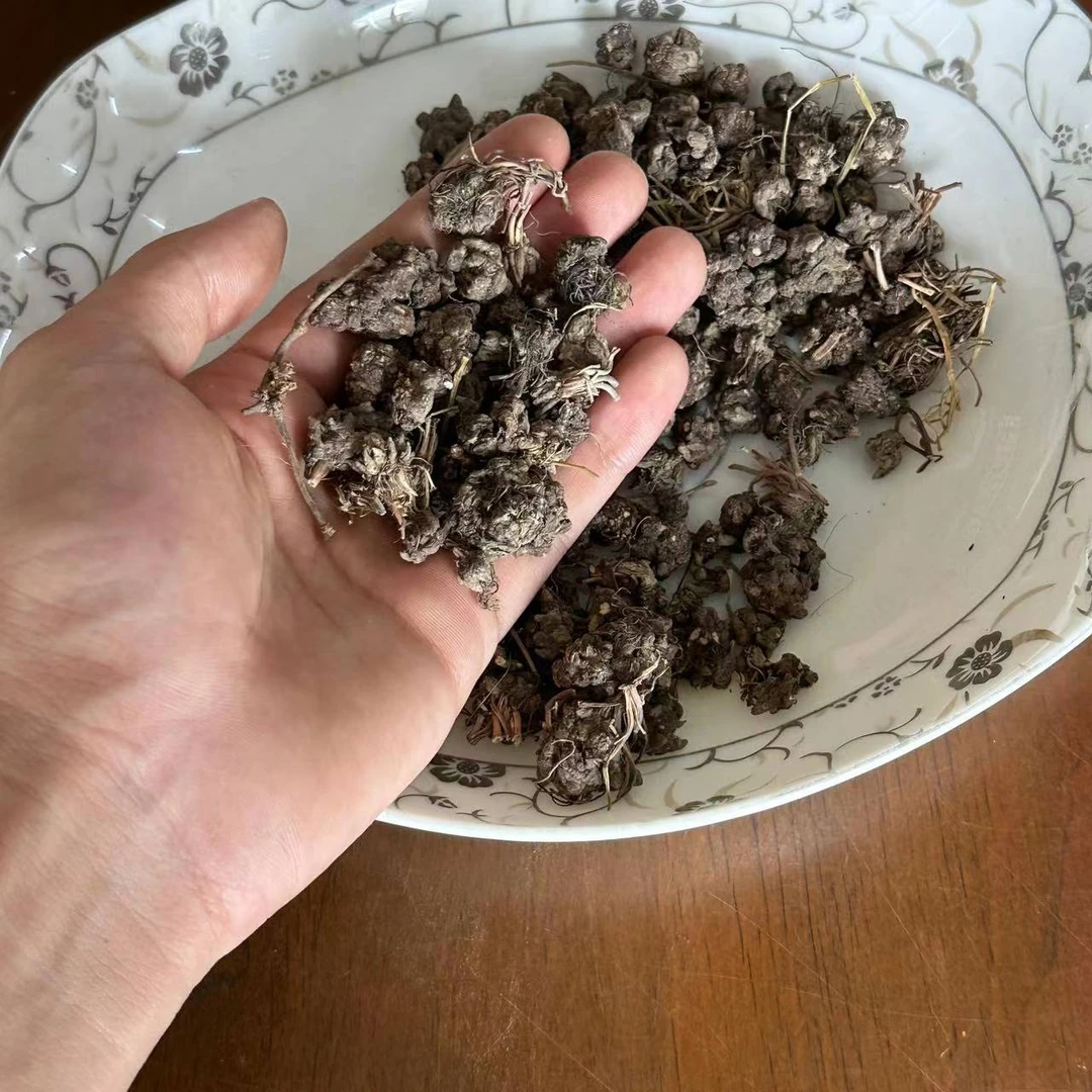 带须三散 野喵 250g 大自然