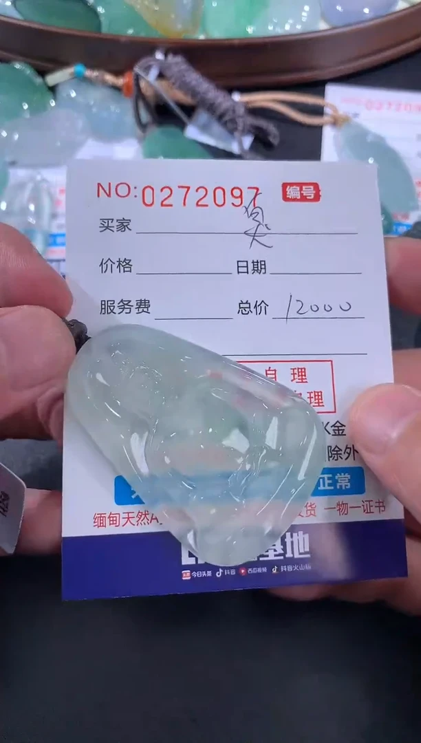【闪购商品】翡翠颈饰未镶嵌臭