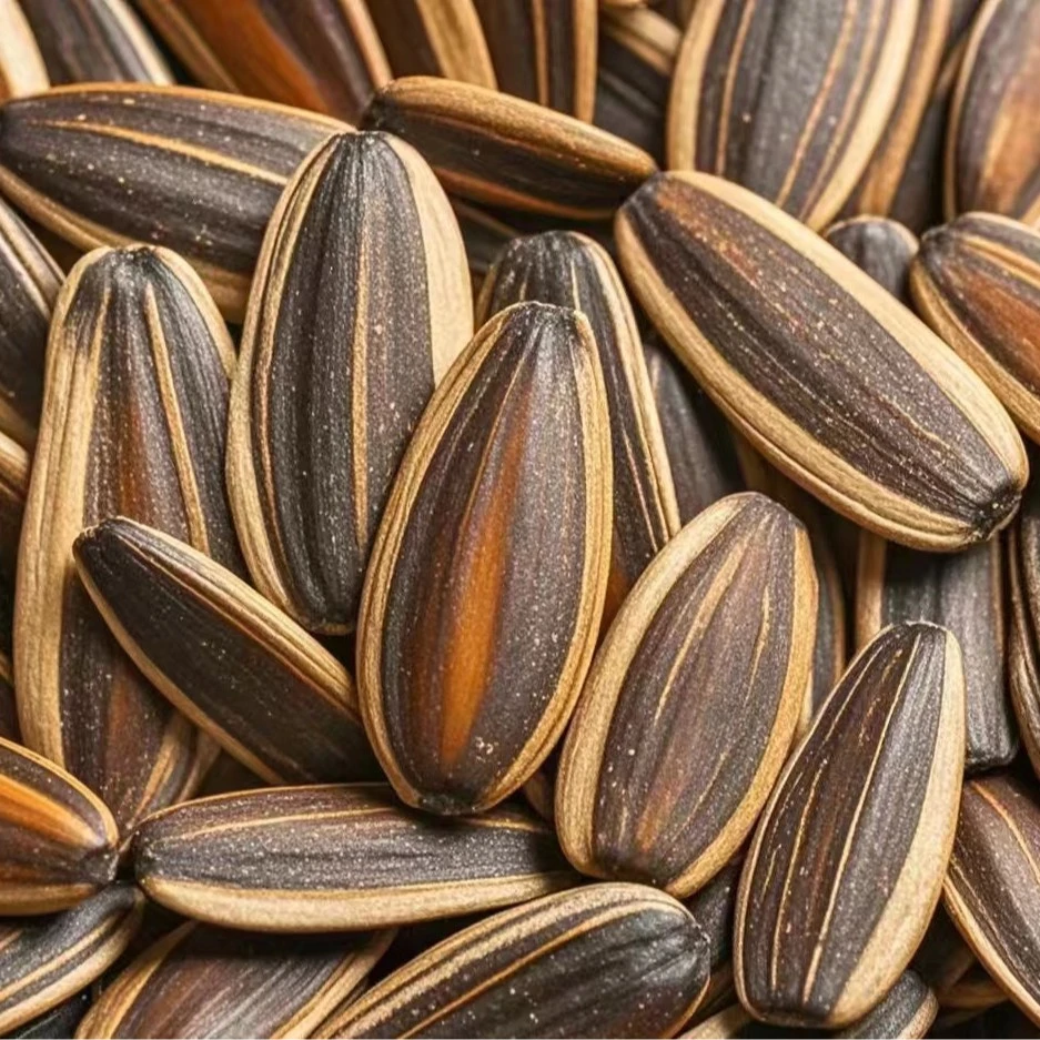 五香炒瓜子香脆可口休闲零食精选葵花籽多味瓜子