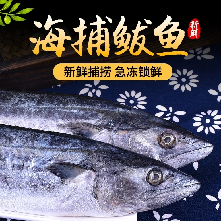 大连燕鲅鱼马鲛鱼购买前请看商品详情了解鲅鱼特性再行购买