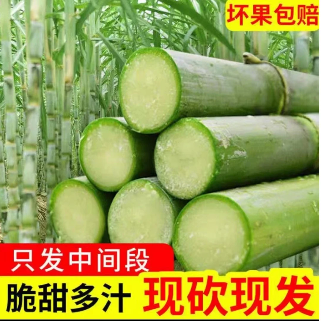 阳朔福利镇青皮水果甘蔗9斤送削皮刀(木子舍)