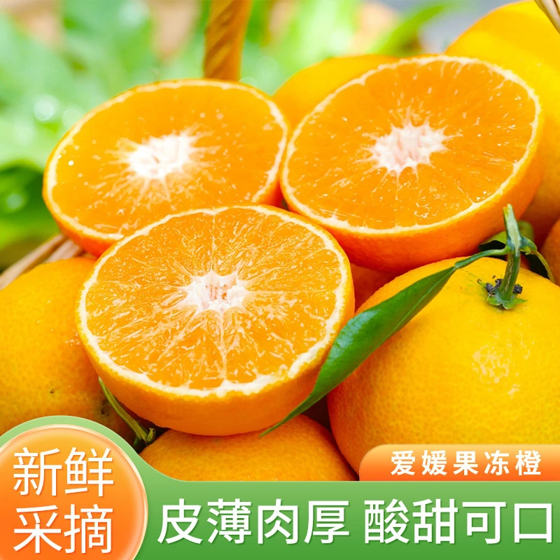 正宗头茬四川爱媛果冻橙38号头茬鲜果当季新鲜水果橙子