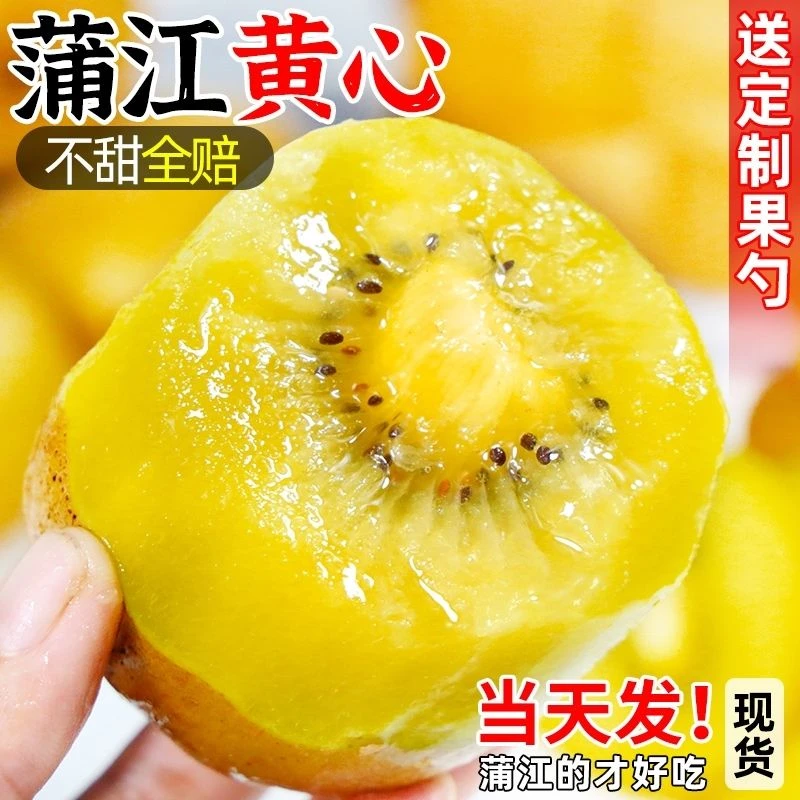 四川蒲江黄心猕猴桃70-110g奇异果弥猴桃应季新鲜孕妇新鲜猕猴桃