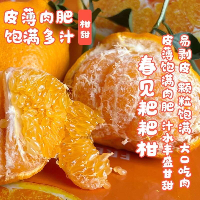 粑粑柑净重春见耙耙柑新鲜水果杷杷柑橘子应季桔皮薄甘甜颗粒多汁