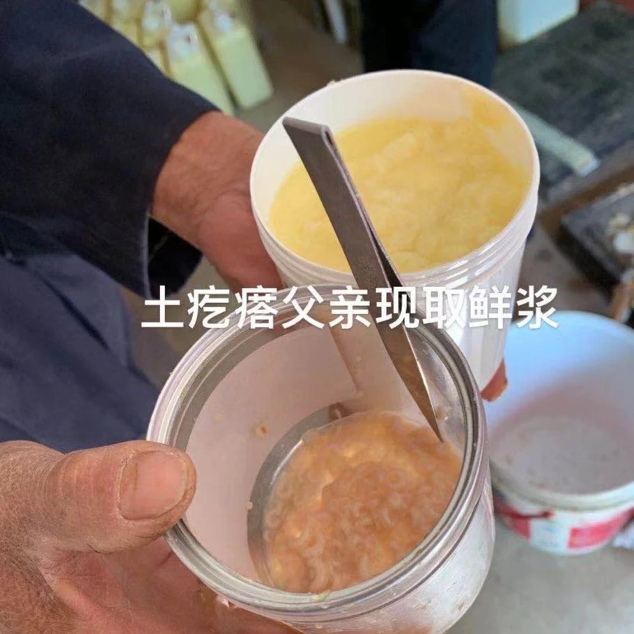 【陕北土疙瘩（蕾）】（新）蜂王浆 二斤
