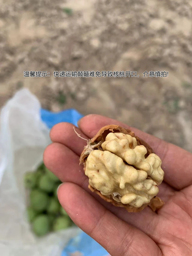 【陕北土疙瘩（蕾）】新  核桃（五斤）