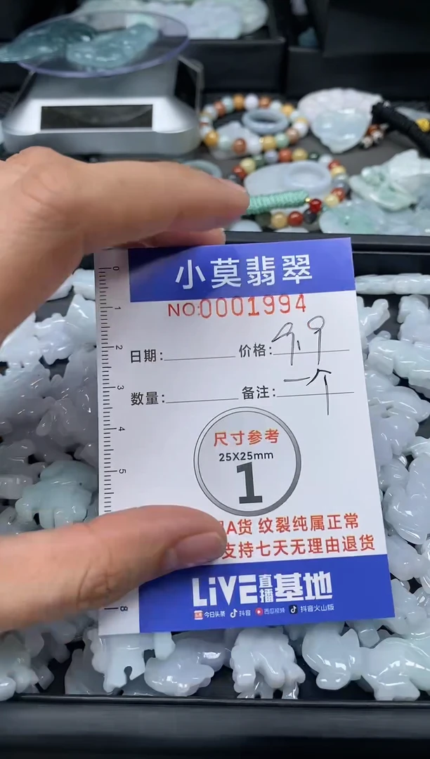 【闪购商品】翡翠颈饰未镶嵌0001994多样性
