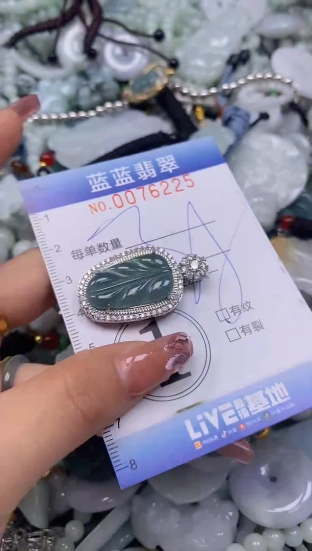 【闪购商品】翡翠颈饰未镶嵌闪购0076225