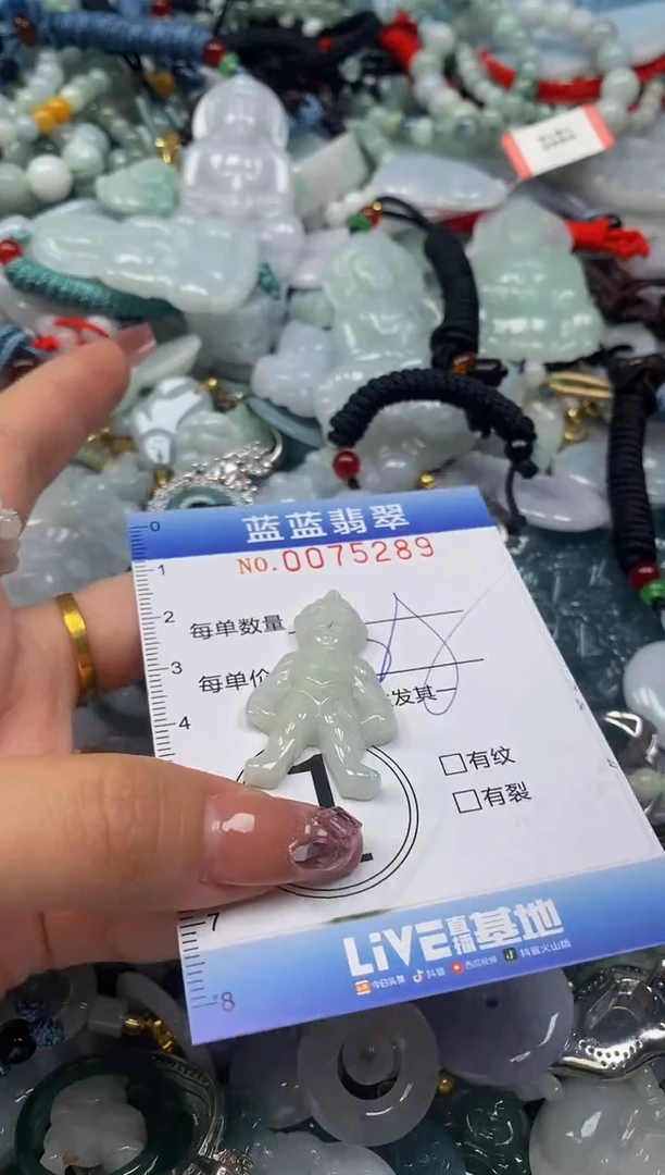 【闪购商品】翡翠颈饰未镶嵌闪购0075289