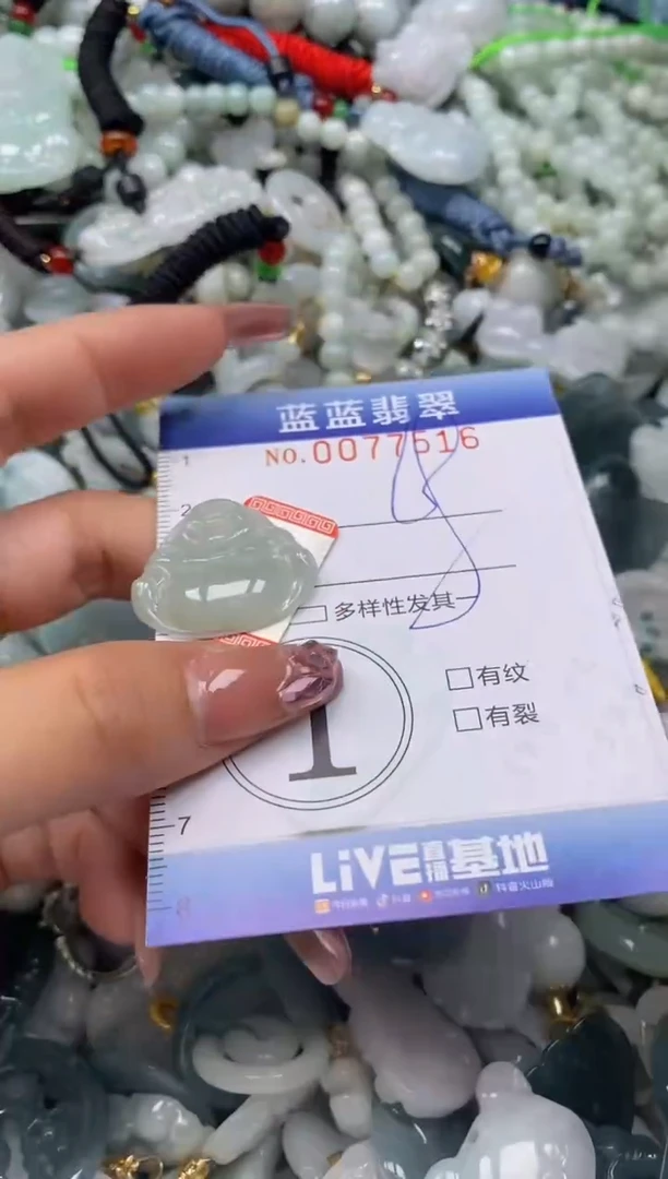 【闪购商品】翡翠颈饰未镶嵌闪购0077516