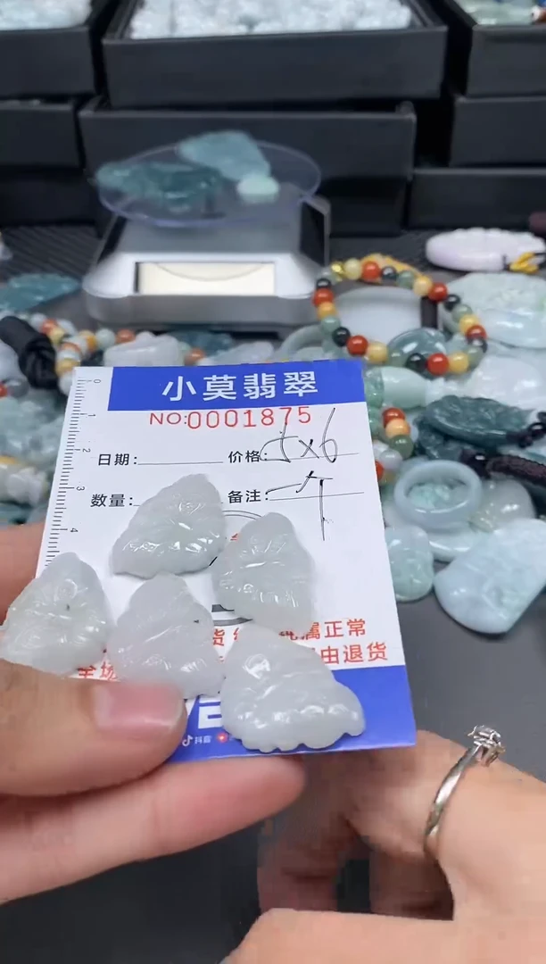 【闪购商品】翡翠颈饰未镶嵌0001875多样性发其一