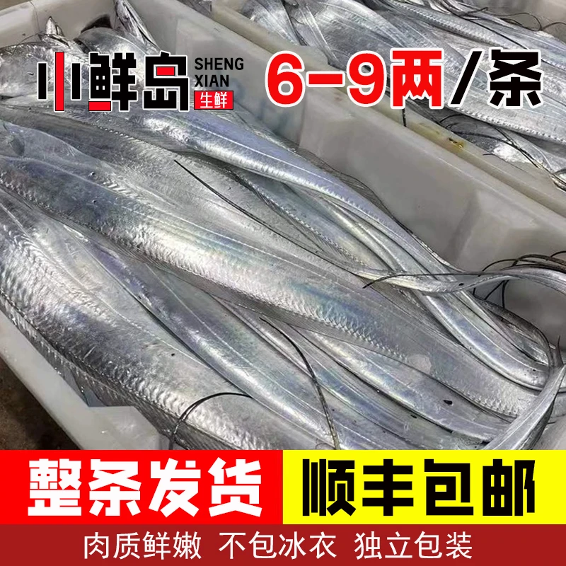 青岛发货（3斤装4-5条）刀鱼整条带鱼 新鲜速冻 非舟山带鱼顺丰包邮
