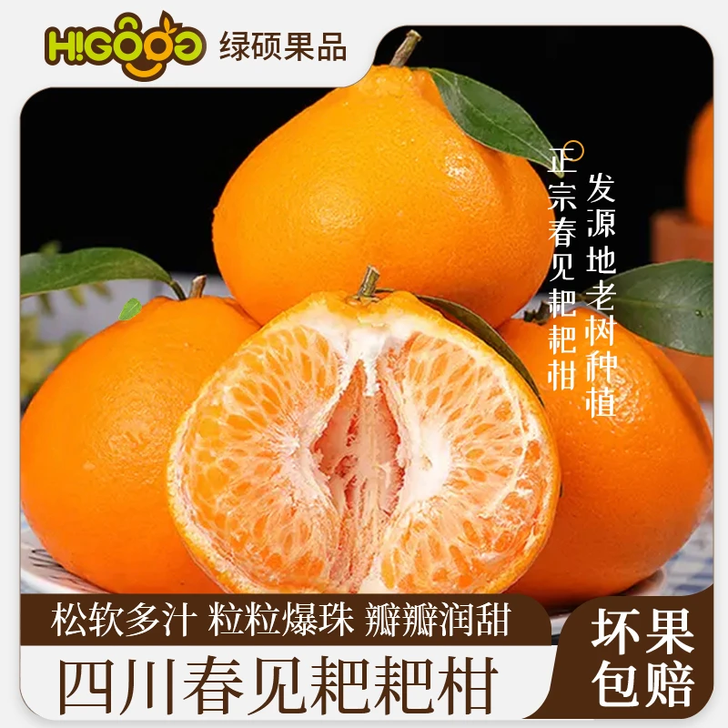 【坏果包赔】正宗四川春见耙耙柑新鲜水果当柑橘粑粑柑桔cl