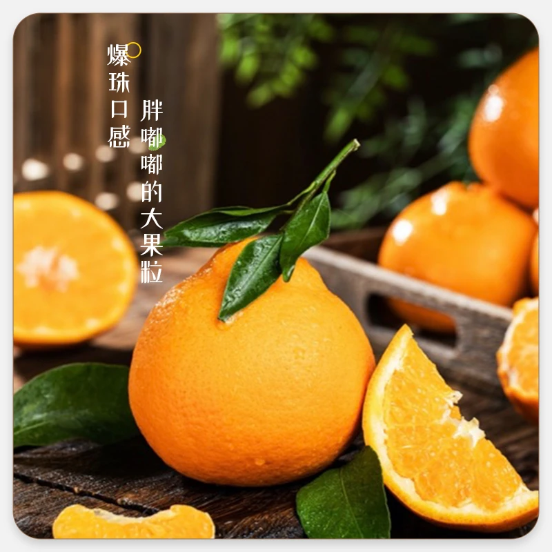 【坏果包赔】正宗四川春见耙耙柑4.5斤新鲜水果当季柑橘粑粑柑桔