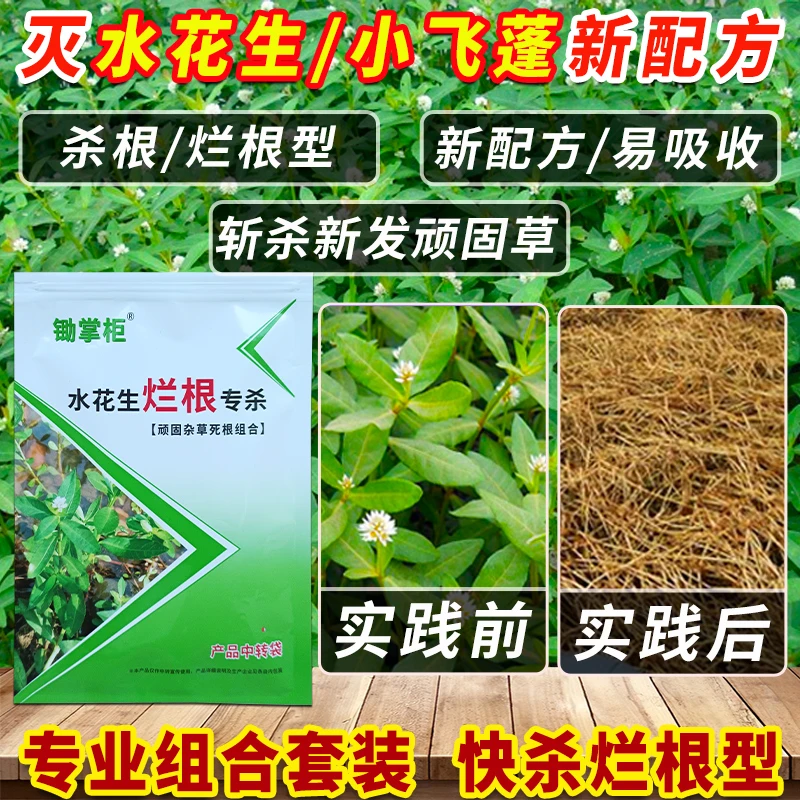 除水花生克星套餐杂草烂根型过江藤空心莲子草杂草烂根型除草剂