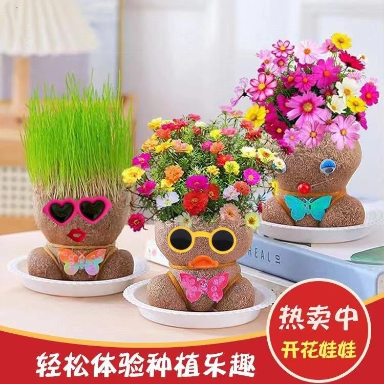 开花娃娃草头娃娃创意手工头上长草花朵宝宝室内幼儿园趣味小盆栽