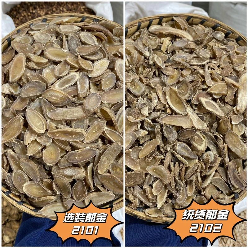 郁金中药材正品大片新品手工精选郁金郁金药材玉金郁金菊花茶自然
